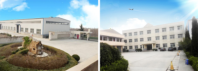 About Suny Group